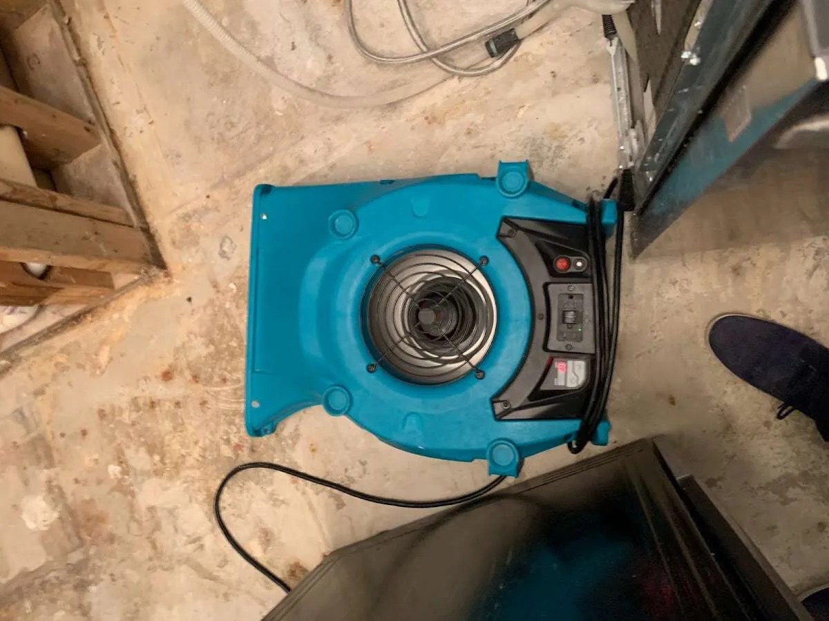 Air mover drying equipment for Mold Remediation & Removal in Nacogdoches