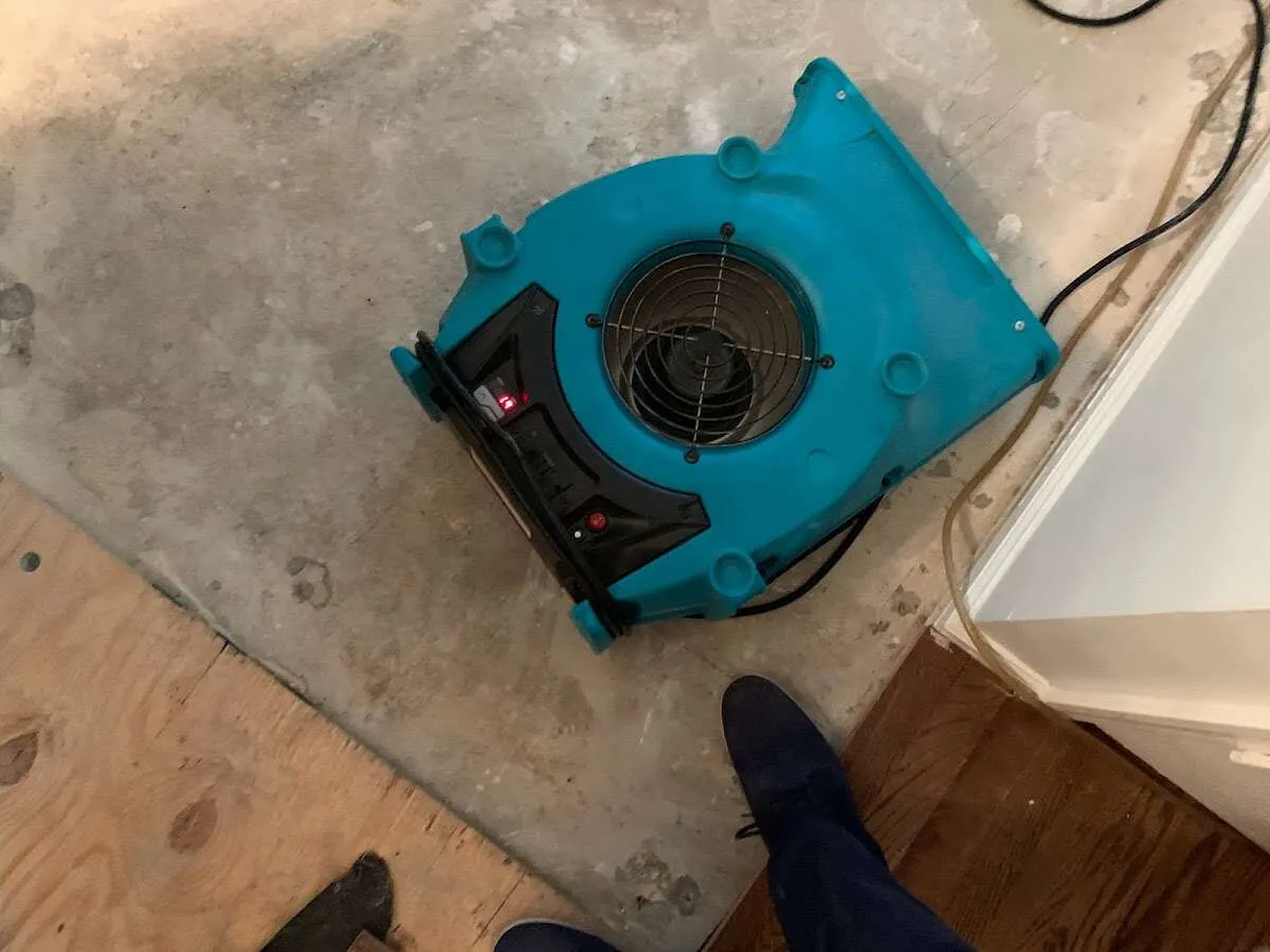 Air mover drying subfloor during Leak Detection & Repair in Nacogdoches